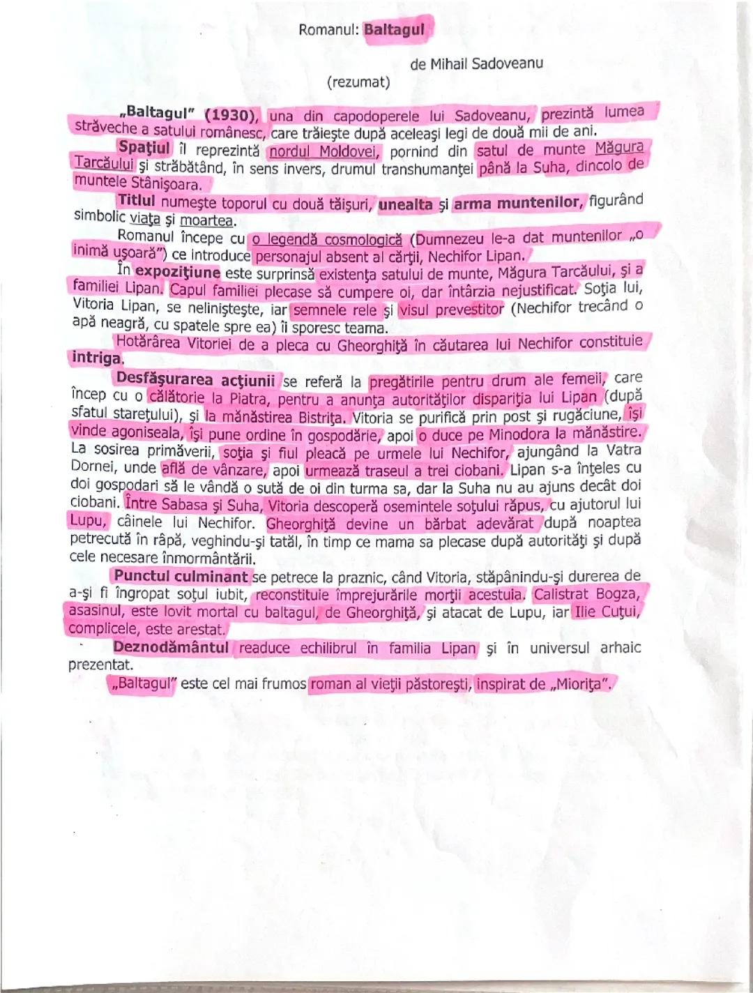 Rezumat și Analiză: Romanul „Baltagul” de Mihail Sadoveanu