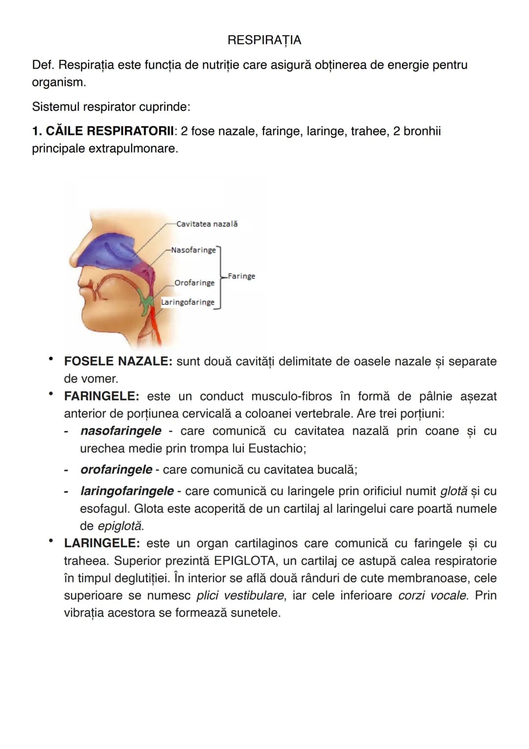 --- OCR Start ---
RESPIRAȚIA
Def. Respirația este funcția de nutriție care asigură obținerea de energie pentru
organism.
Sistemul respirator