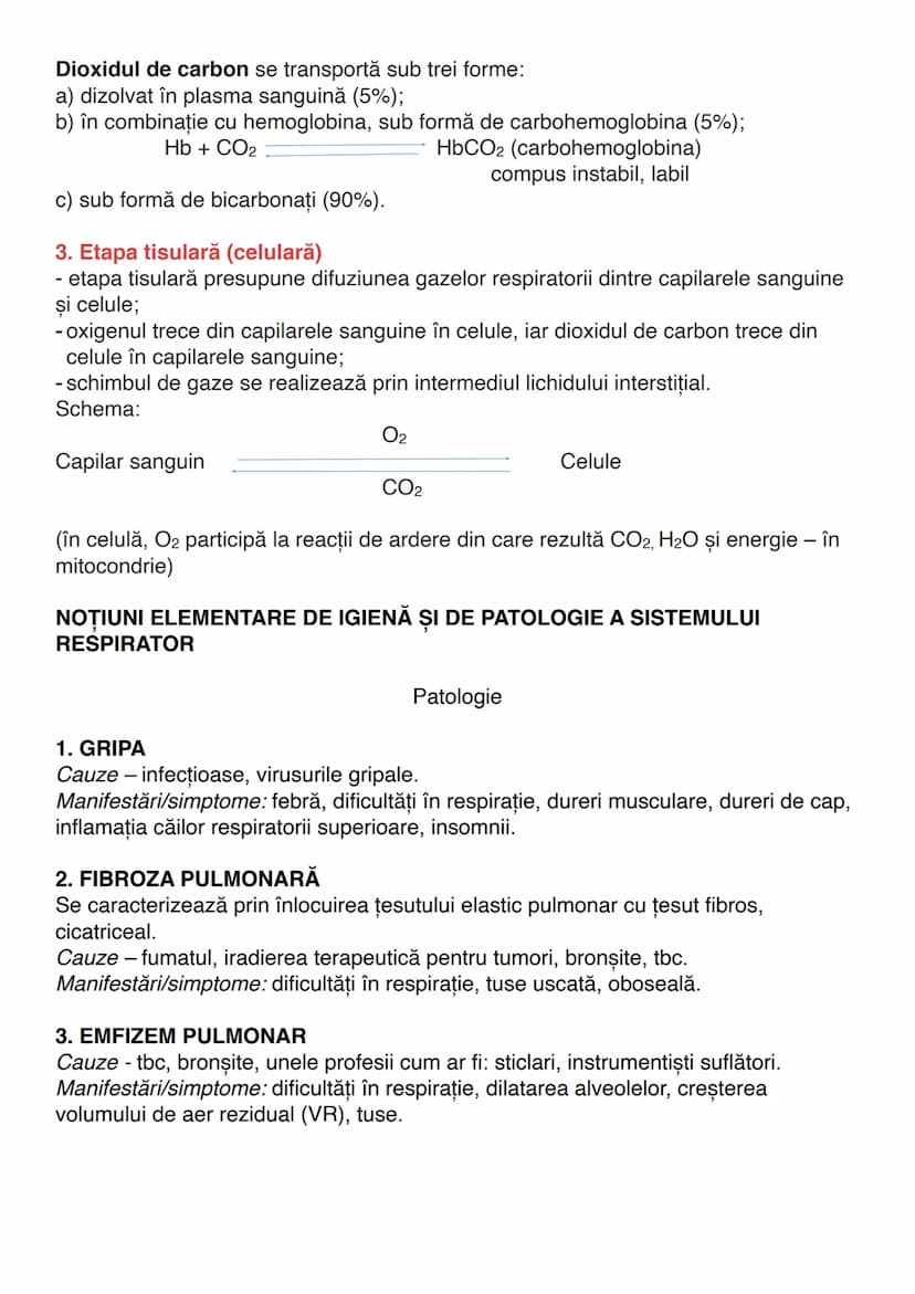--- OCR Start ---
RESPIRAȚIA
Def. Respirația este funcția de nutriție care asigură obținerea de energie pentru
organism.
Sistemul respirator