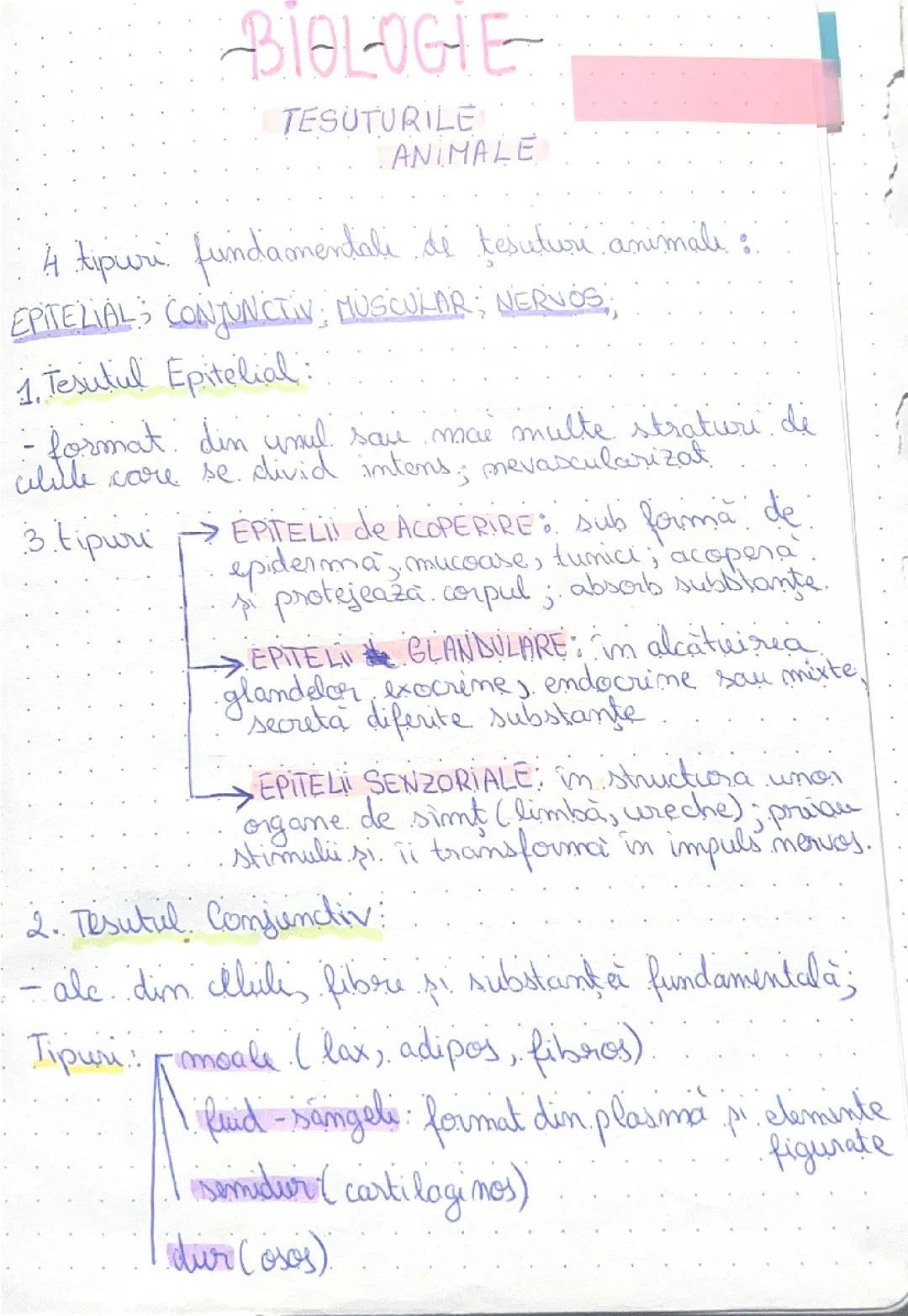 Tesuturi animale si vegetale