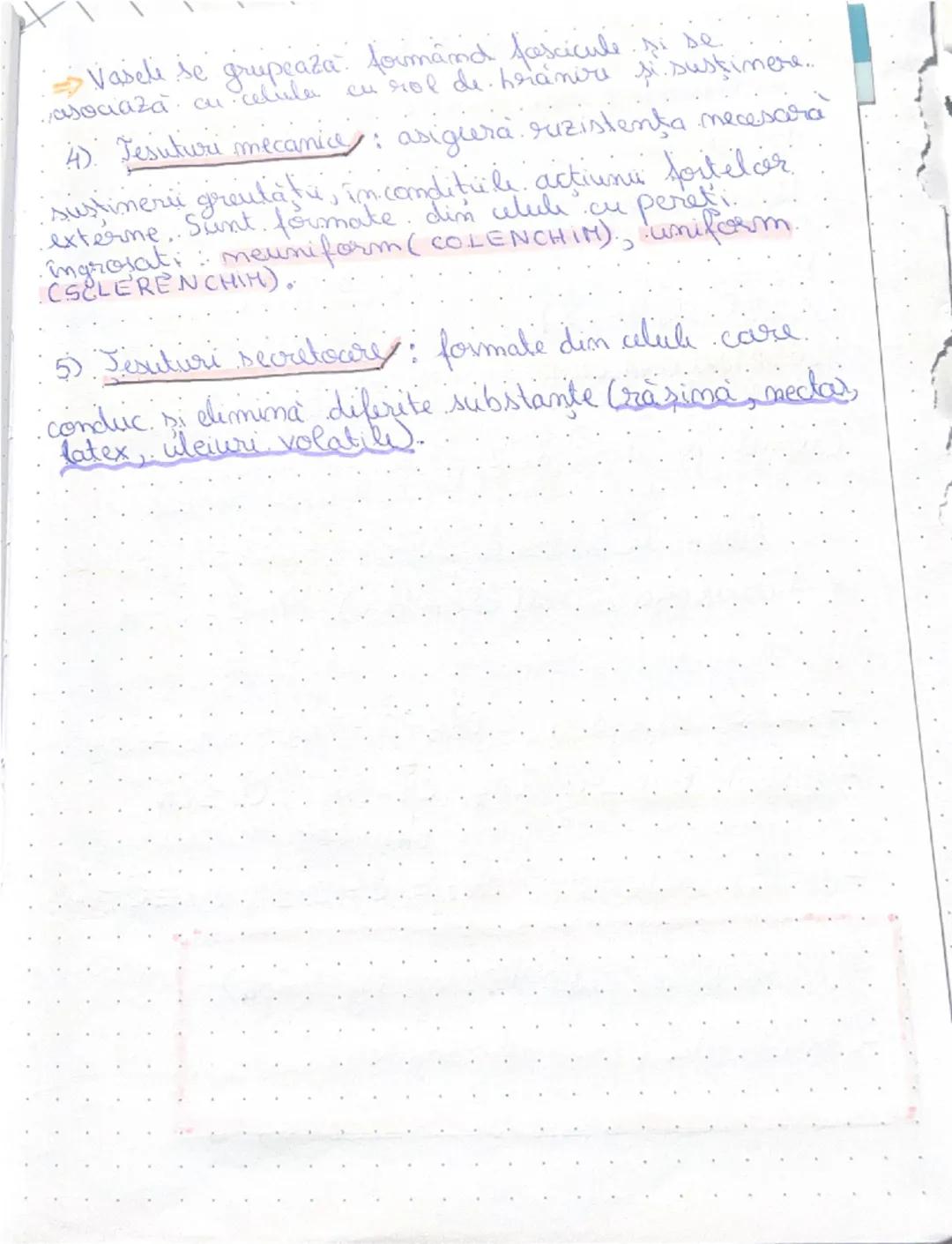 --- OCR Start ---
BIOLOGIE
TESUTURILE
ANIMALE
: A tipuri fundamentali de tesuturi animali:
EPITELIALS CONJUNCTIV; MUSCULAR; NERVOS,
1. Tesut