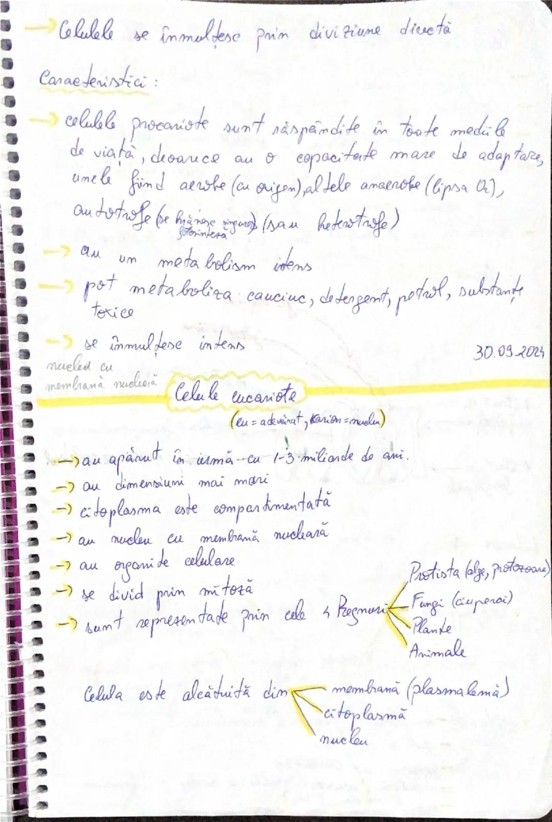 2409
Celulele procariote
(pro = înainte, carion = nucleu)
Sunt reprezentate prin bacterii & cianobacterii care
intră în alcătuirea regnului 