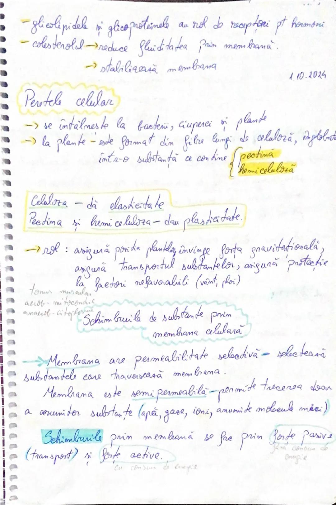 2409
Celulele procariote
(pro = înainte, carion = nucleu)
Sunt reprezentate prin bacterii & cianobacterii care
intră în alcătuirea regnului 