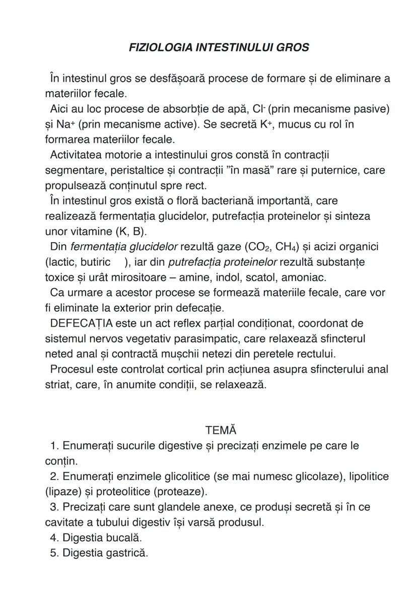 # SISTEMUL DIGESTIV
Sistemul digestiv constituie un complex de organe care îndeplinesc
funcţiile de digestie și absorbție.
# ANATOMIA SISTEM