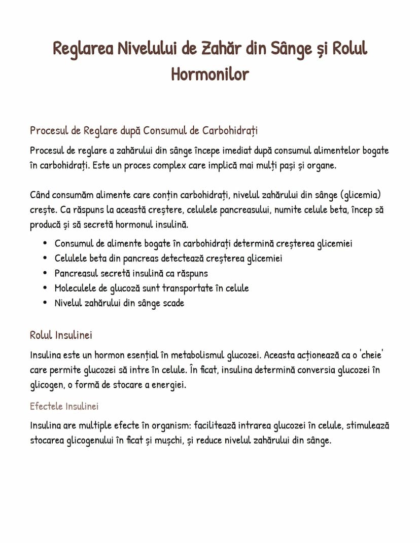# Reglarea Nivelului de Zahăr din Sânge și Rolul
Hormonilor

Procesul de Reglare după Consumul de Carbohidrați
Procesul de reglare a zahărul