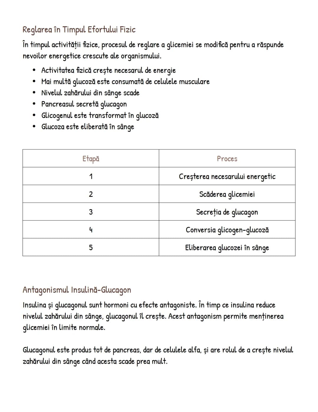 # Reglarea Nivelului de Zahăr din Sânge și Rolul
Hormonilor

Procesul de Reglare după Consumul de Carbohidrați
Procesul de reglare a zahărul