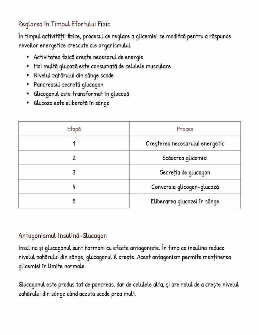 # Reglarea Nivelului de Zahăr din Sânge și Rolul
Hormonilor

Procesul de Reglare după Consumul de Carbohidrați
Procesul de reglare a zahărul
