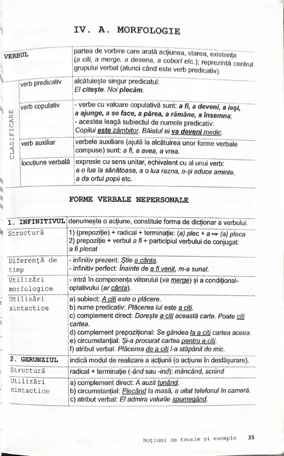 Explorarea Verbului - Tot ce Trebuie Să Știi