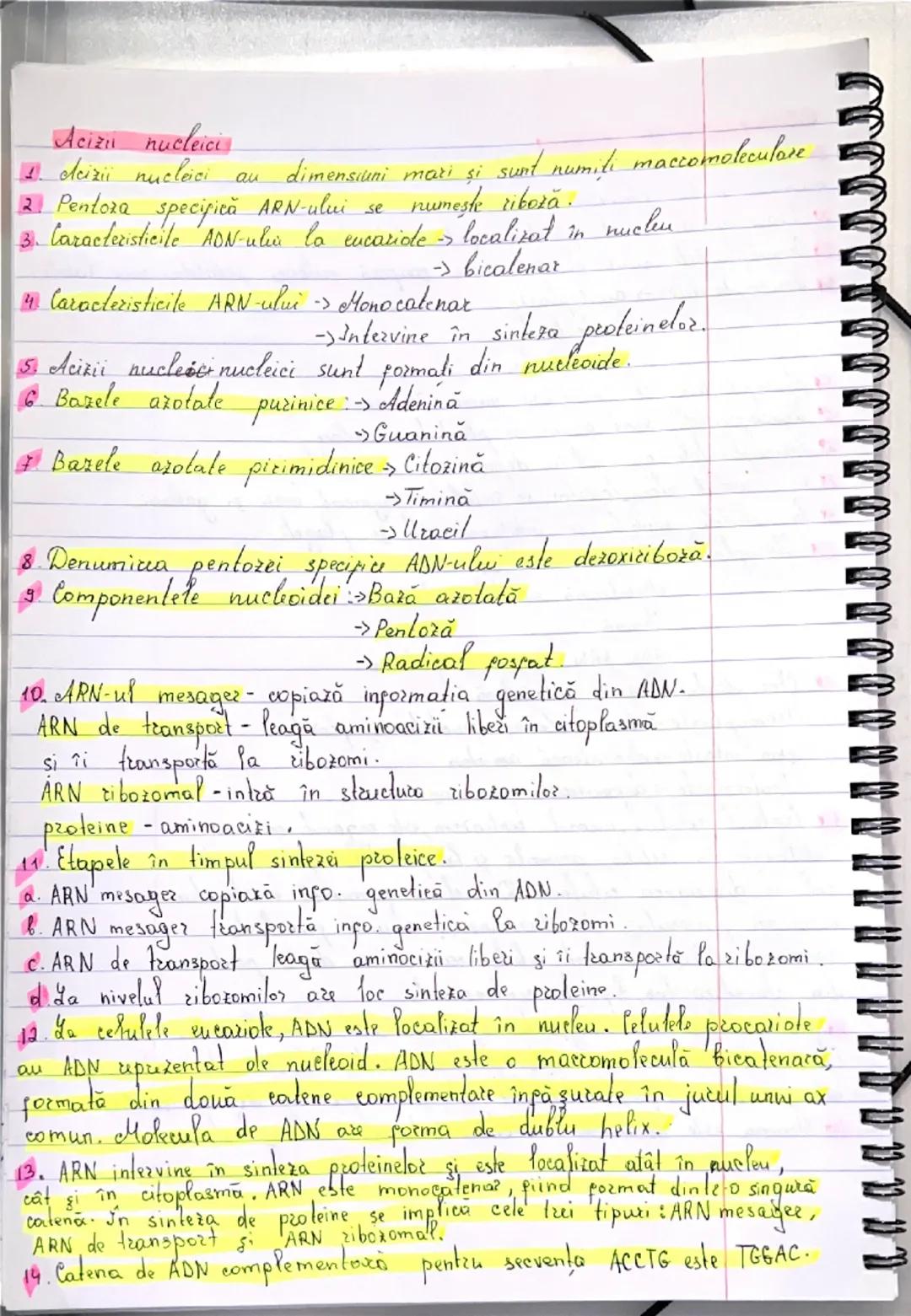 --- OCR Start ---
Acizu nucleici
1. odcizii nucleici au dimensiuni mari și sunt numiti maccomoleculare
2 Pentoza specifică ARN-ului se numes