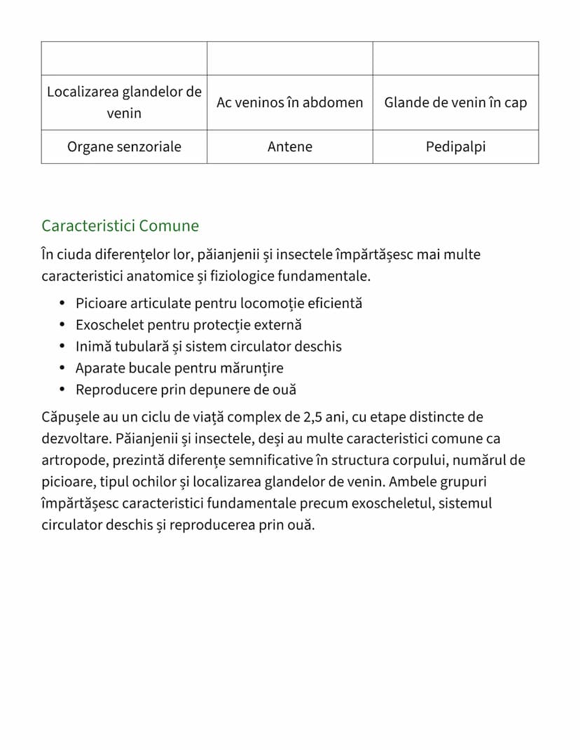 # Căpușe, Păianjeni şi Insecte -
# Caracteristici și Cicluri de Viață

## Ciclul de Viață al Căpușelor
Ciclul de viaţă al căpușelor este un 