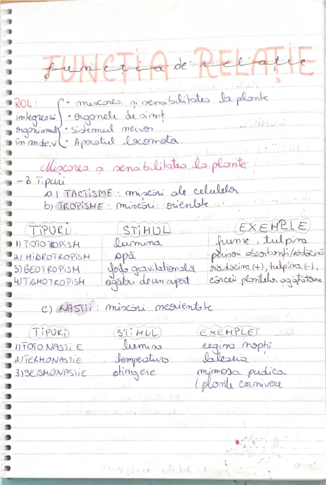 Funcția de relație +Organe de simț