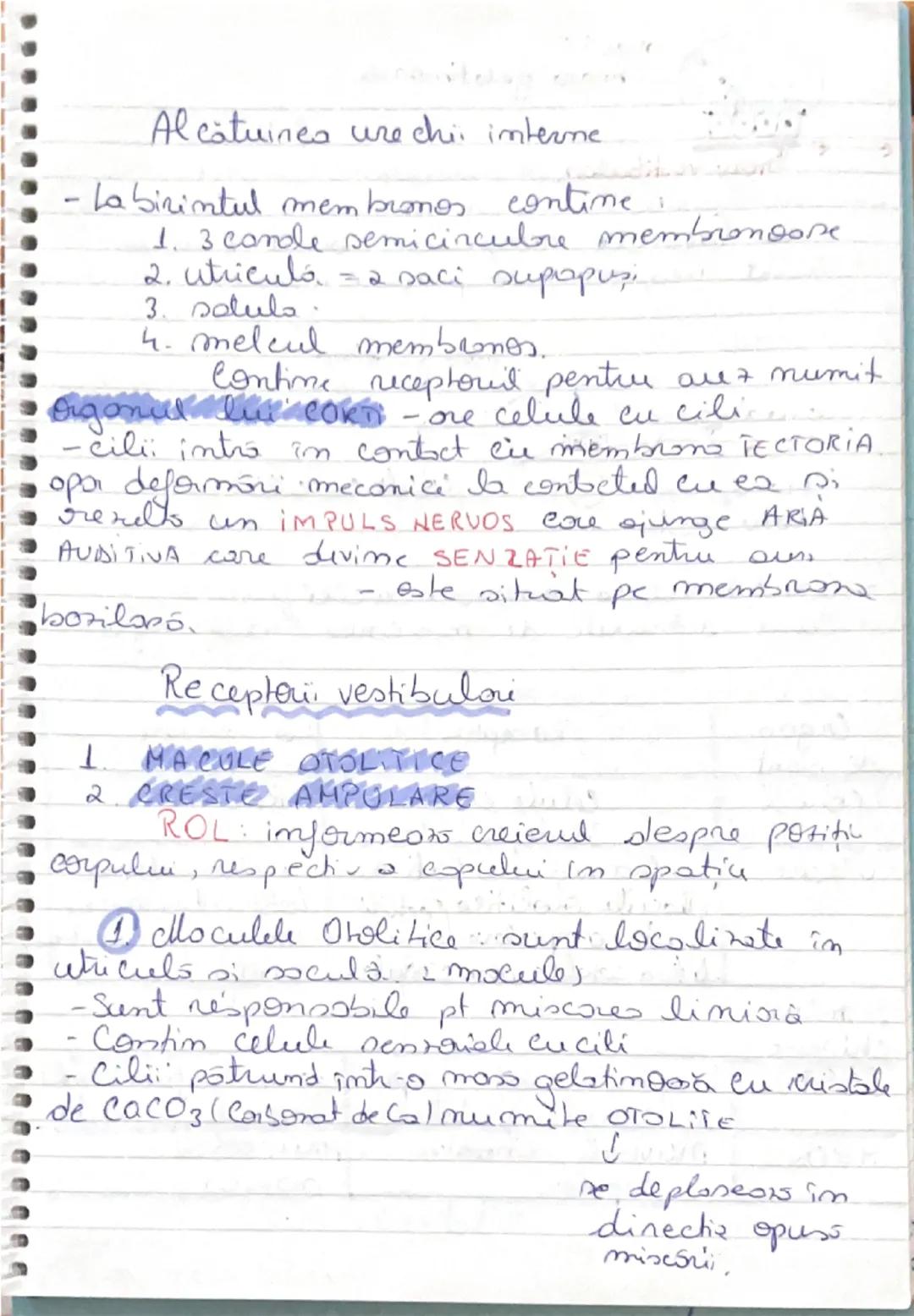 ## FUNCŢIA de RELAŢIE

ROL:
- mişcări şi sensibilitatea la plante
-integrează organele de simţ
-organismul sistemul nervos
-în medie: Aparat