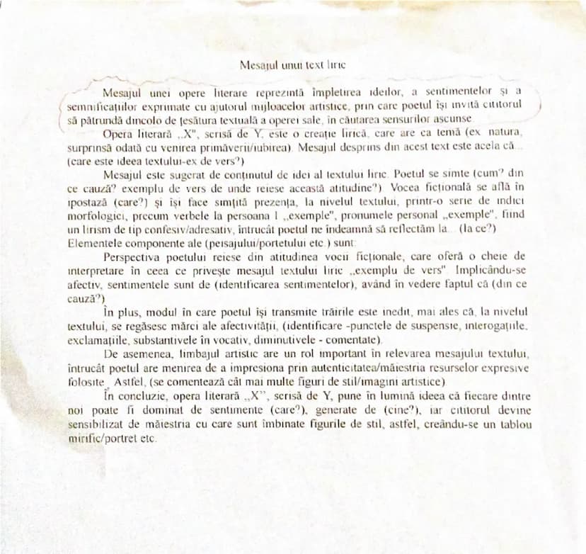# Mesajul unui text liric
Mesajul unei opere literare reprezintă împletirea ideilor, a sentimentelor şi a
semnificațiilor exprimate cu ajuto