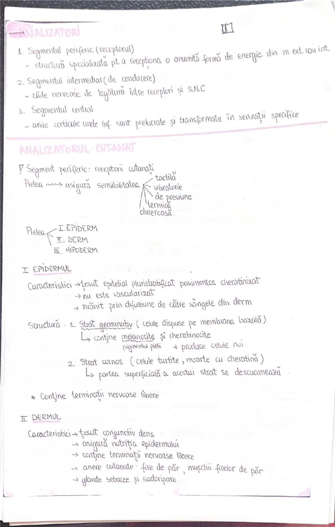 Analizatorii Bac Biologie 11/12