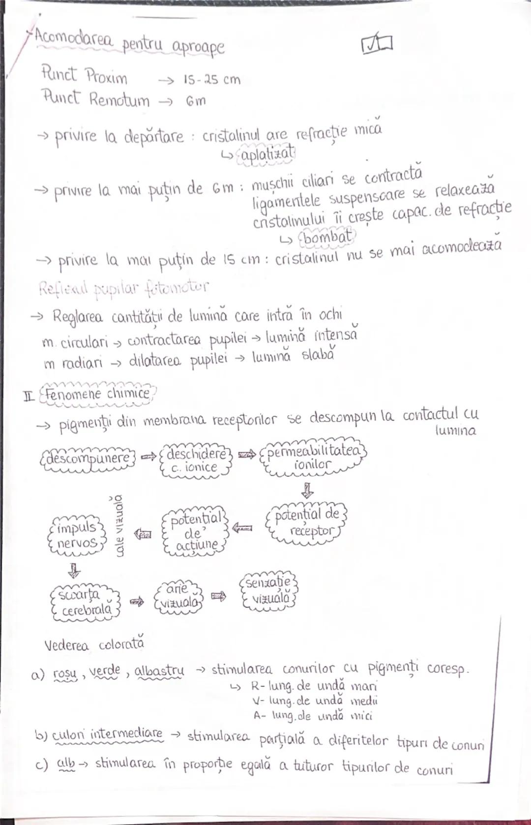 # ANALIZATORI

1. Segmentul periferic (receptorul)
   - structură specializată pt a receptiona o anumită formă de energie din m ext.sau int.