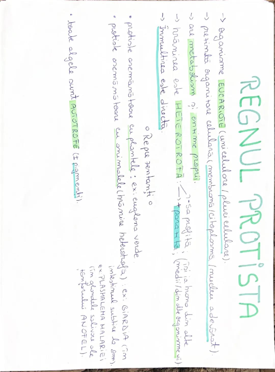 --- OCR Start ---
REGNUL PLANTE,
Regnul plante cuprinde: muschi / fervigi) plonte cu samanto. Igimnosperme longiosperme
PLANTE AVASCULARE
a)