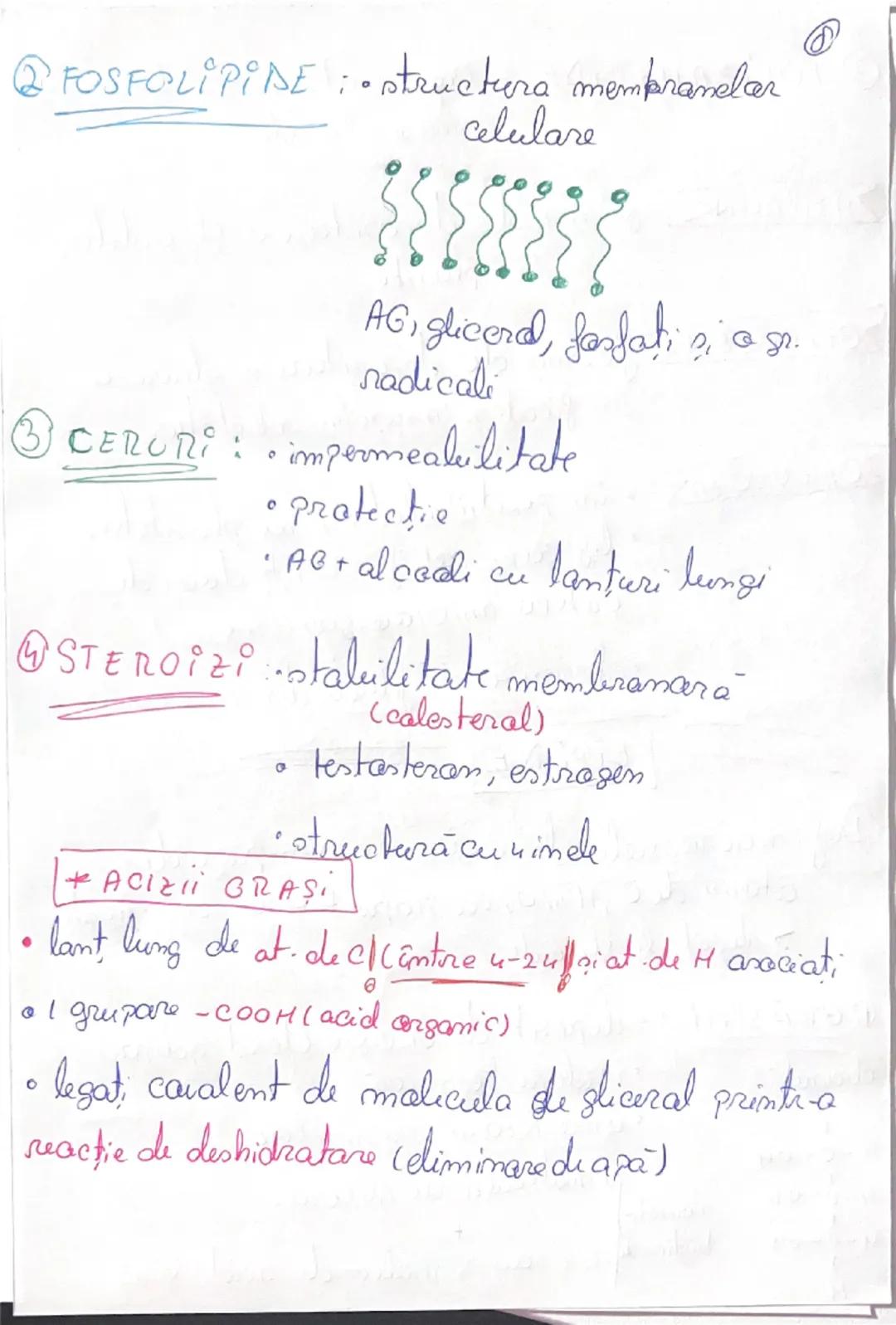 --- OCR Start ---
O
Definiţie:
ATOMUL
Cea mai mică parte dintr-un
element chimic, care paate intra în combinatü
cu atomii alter elemente.
• 