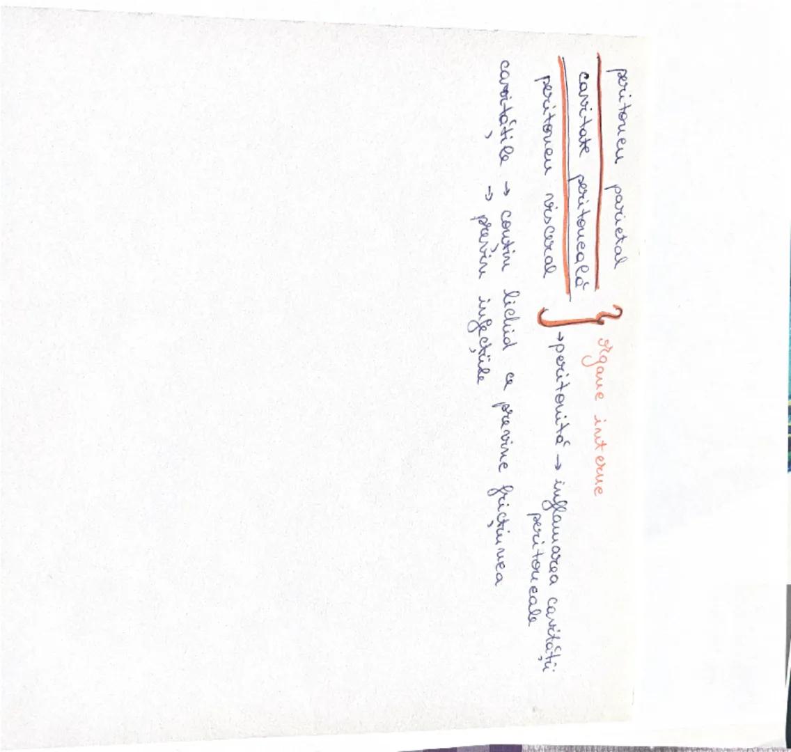 --- OCR Start ---
ANATOMIE = STRUCTURA ORGANISMULUI
•cu vântul anatomie inseamnă a disece sou a taia și separa
parțile corpului pentru studi