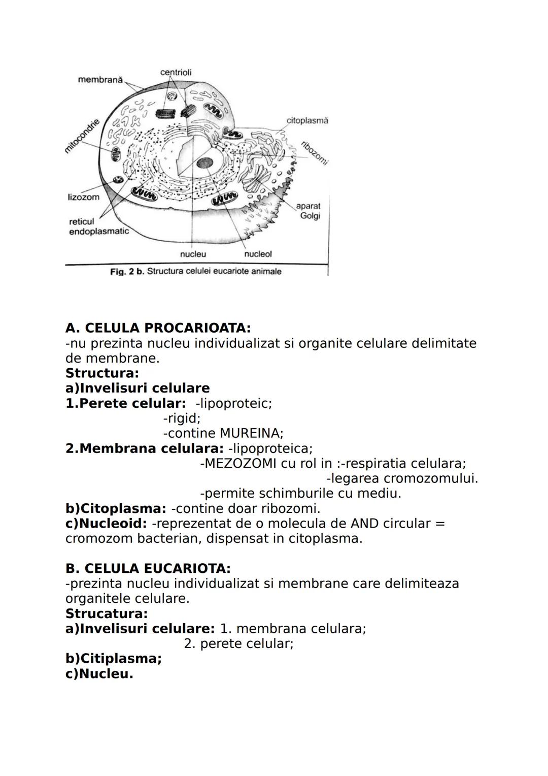 --- OCR Start ---
CLASA A IX-A
I. DIVERSITATEA LUMII VII
Stiinta care studiaza clasificarea lumii vii se numeste
SISTEMATICA sau TAXONOMIE.