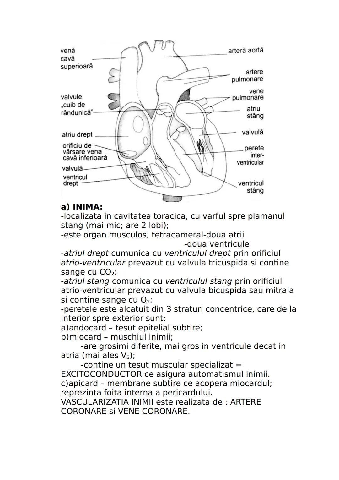 --- OCR Start ---
CLASA A IX-A
I. DIVERSITATEA LUMII VII
Stiinta care studiaza clasificarea lumii vii se numeste
SISTEMATICA sau TAXONOMIE.