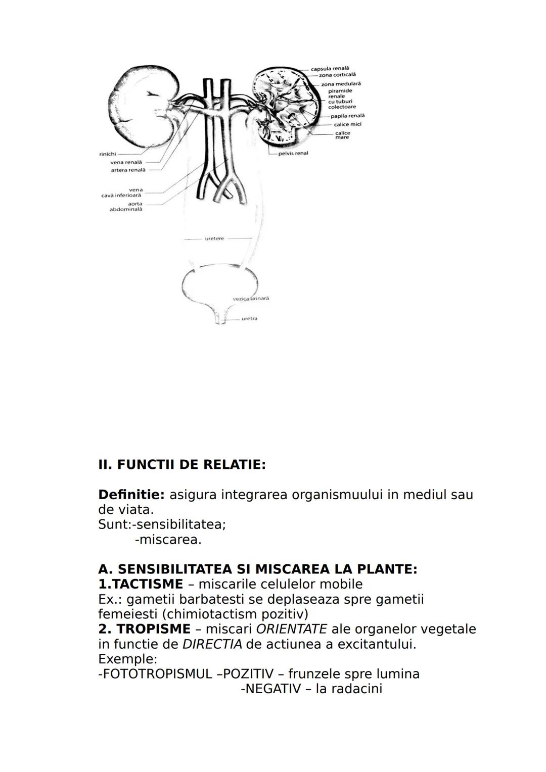 --- OCR Start ---
CLASA A IX-A
I. DIVERSITATEA LUMII VII
Stiinta care studiaza clasificarea lumii vii se numeste
SISTEMATICA sau TAXONOMIE.