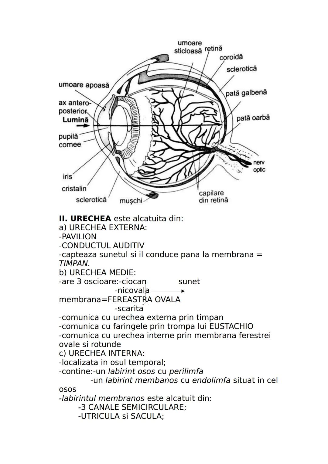 --- OCR Start ---
CLASA A IX-A
I. DIVERSITATEA LUMII VII
Stiinta care studiaza clasificarea lumii vii se numeste
SISTEMATICA sau TAXONOMIE.