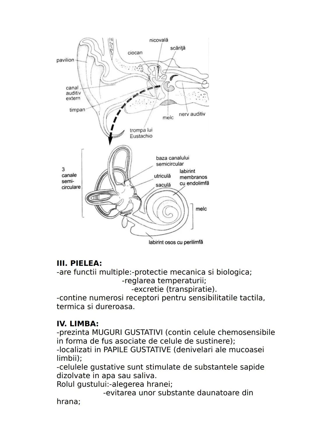 --- OCR Start ---
CLASA A IX-A
I. DIVERSITATEA LUMII VII
Stiinta care studiaza clasificarea lumii vii se numeste
SISTEMATICA sau TAXONOMIE.