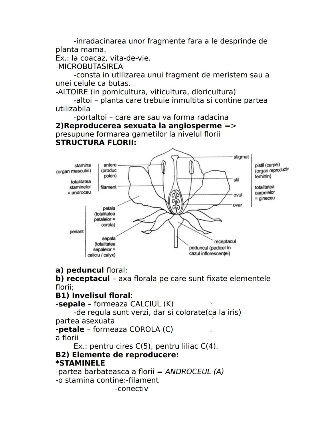 --- OCR Start ---
CLASA A IX-A
I. DIVERSITATEA LUMII VII
Stiinta care studiaza clasificarea lumii vii se numeste
SISTEMATICA sau TAXONOMIE.