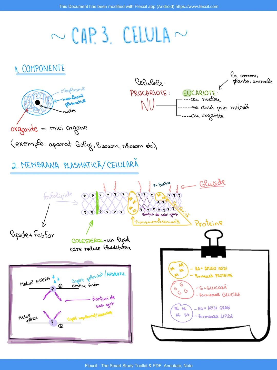 This Document has been modified with Flexcil app (Android) https://www.fexcil.com
~VOCABULARN
1. .HiPER=mai~mult
2. HIPO = mai puțin,
3.SiNT