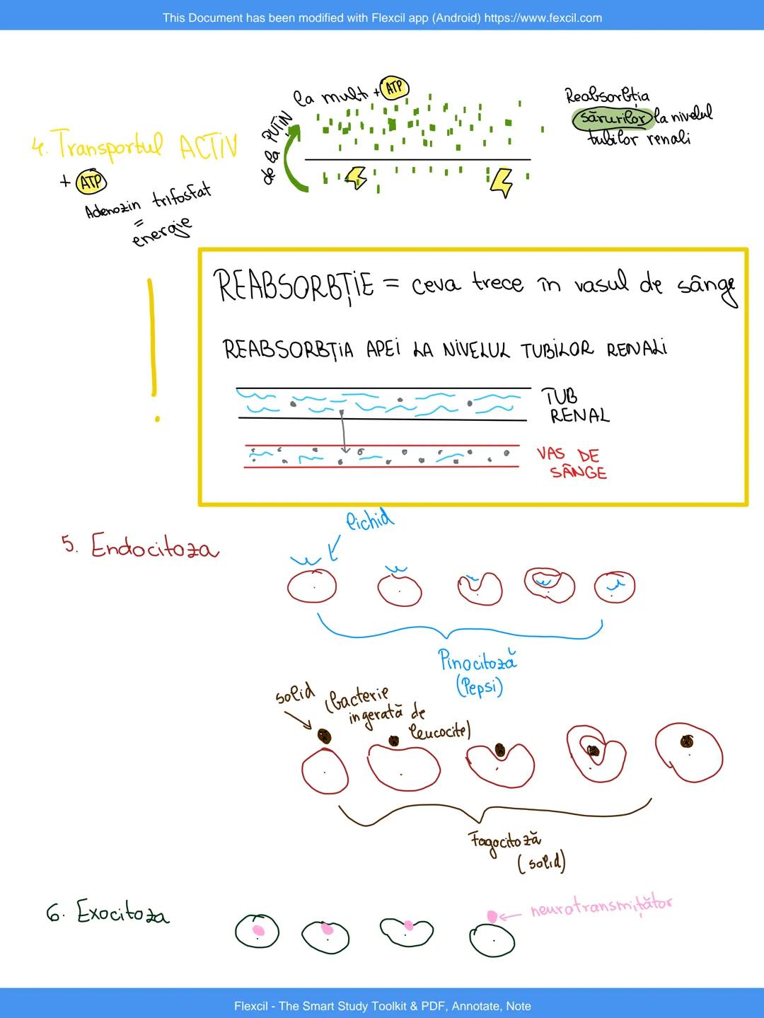 This Document has been modified with Flexcil app (Android) https://www.fexcil.com
~VOCABULARN
1. .HiPER=mai~mult
2. HIPO = mai puțin,
3.SiNT