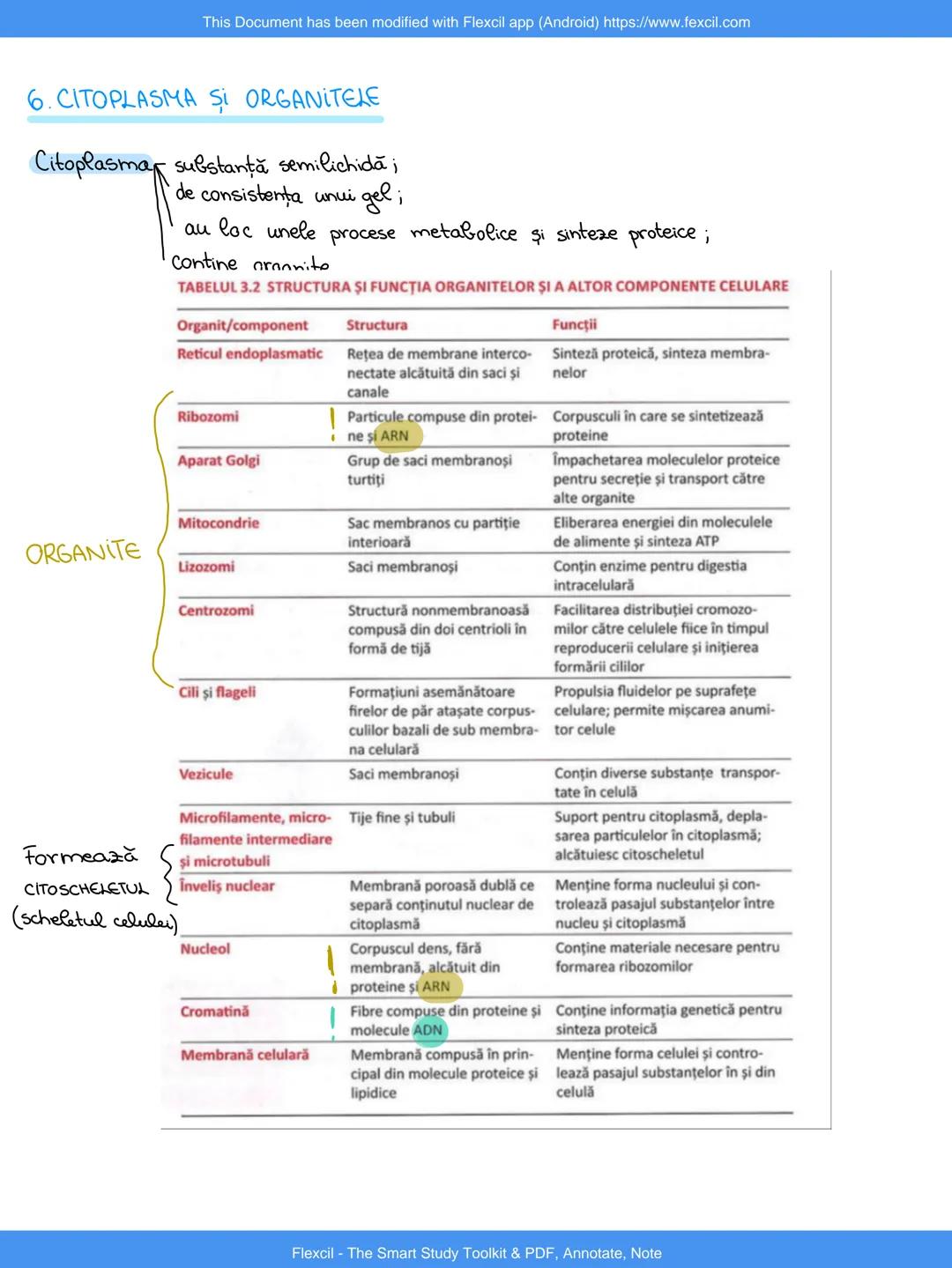 This Document has been modified with Flexcil app (Android) https://www.fexcil.com
~VOCABULARN
1. .HiPER=mai~mult
2. HIPO = mai puțin,
3.SiNT