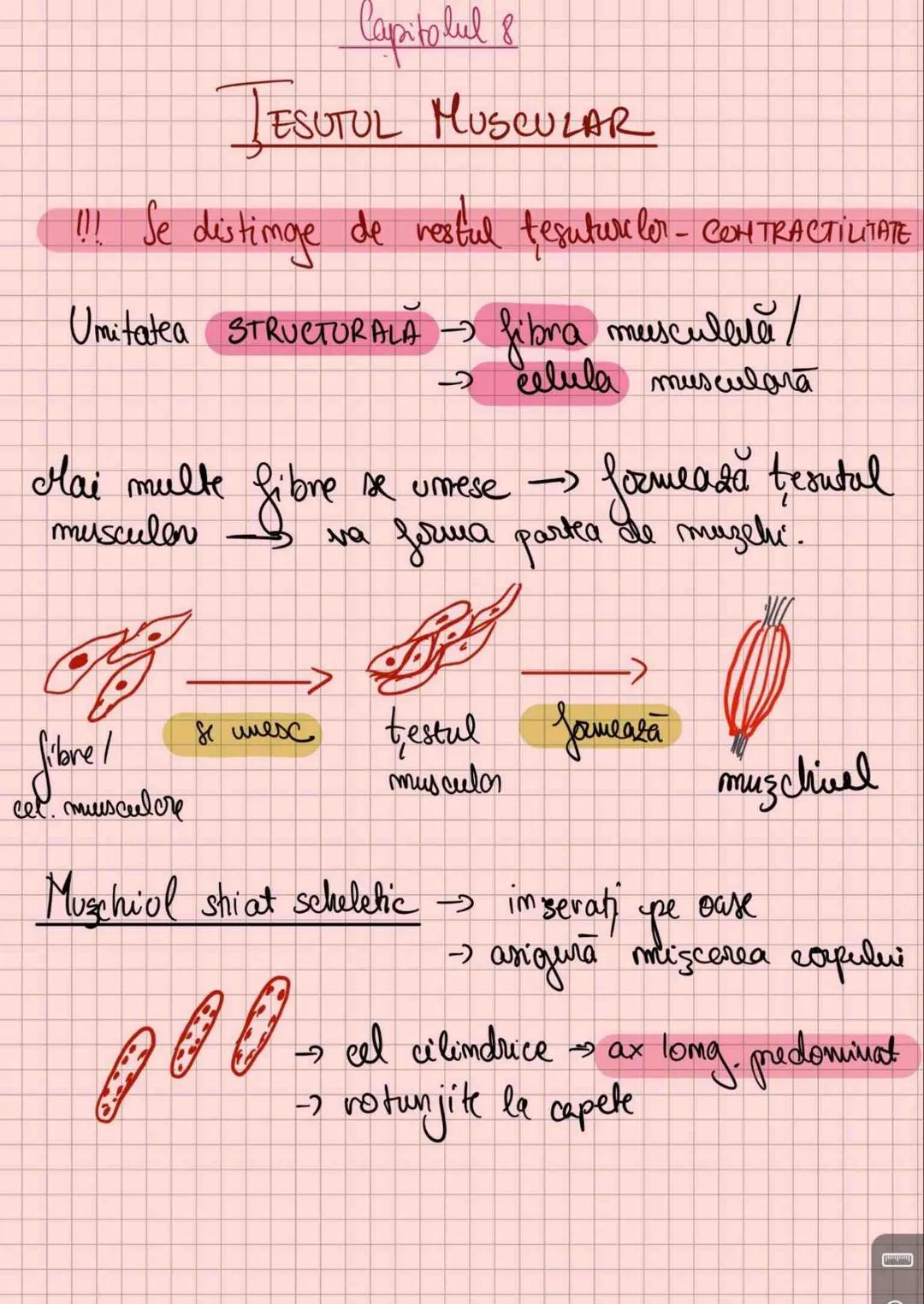 # Capitolul 8
# ȚESUTUL MUSCULAR
!!! Se distinge de restul țesuturilor - CONTRACTILITATE
Umitatea STRUCTURALĂ → fibra musculară /
→ celula m