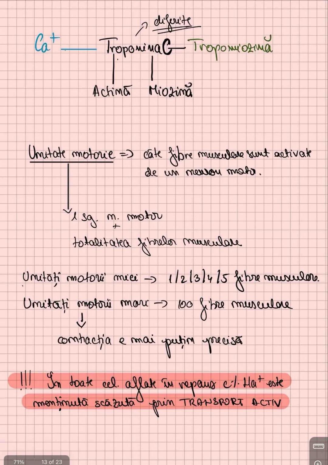 # Capitolul 8
# ȚESUTUL MUSCULAR
!!! Se distinge de restul țesuturilor - CONTRACTILITATE
Umitatea STRUCTURALĂ → fibra musculară /
→ celula m