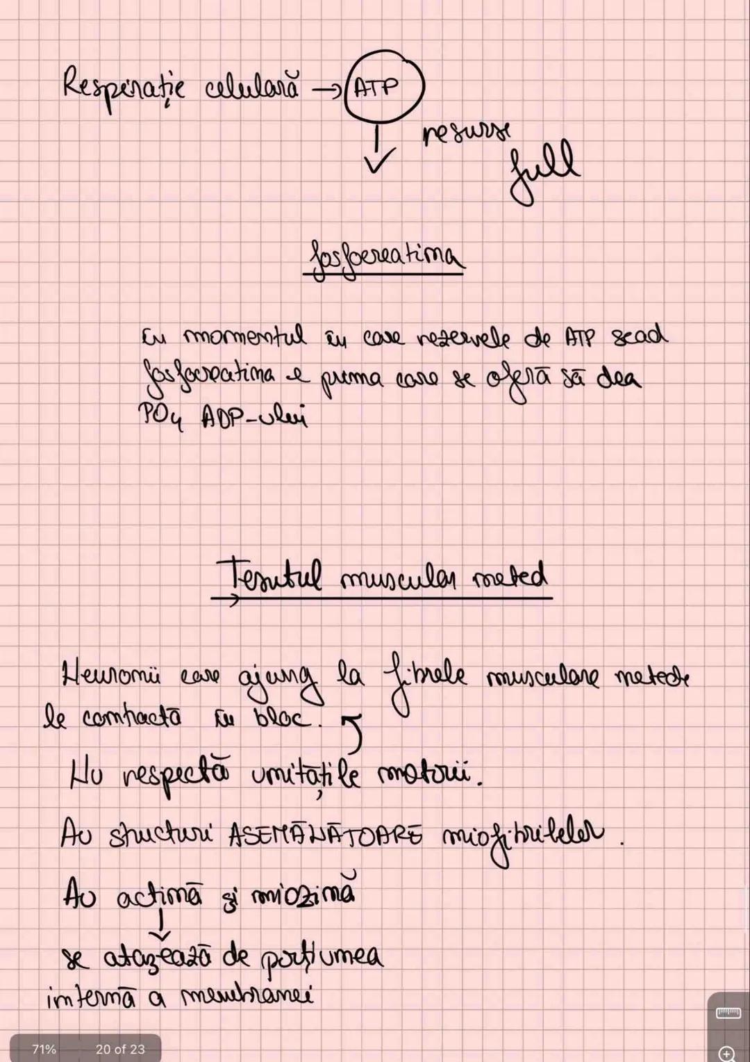 # Capitolul 8
# ȚESUTUL MUSCULAR
!!! Se distinge de restul țesuturilor - CONTRACTILITATE
Umitatea STRUCTURALĂ → fibra musculară /
→ celula m
