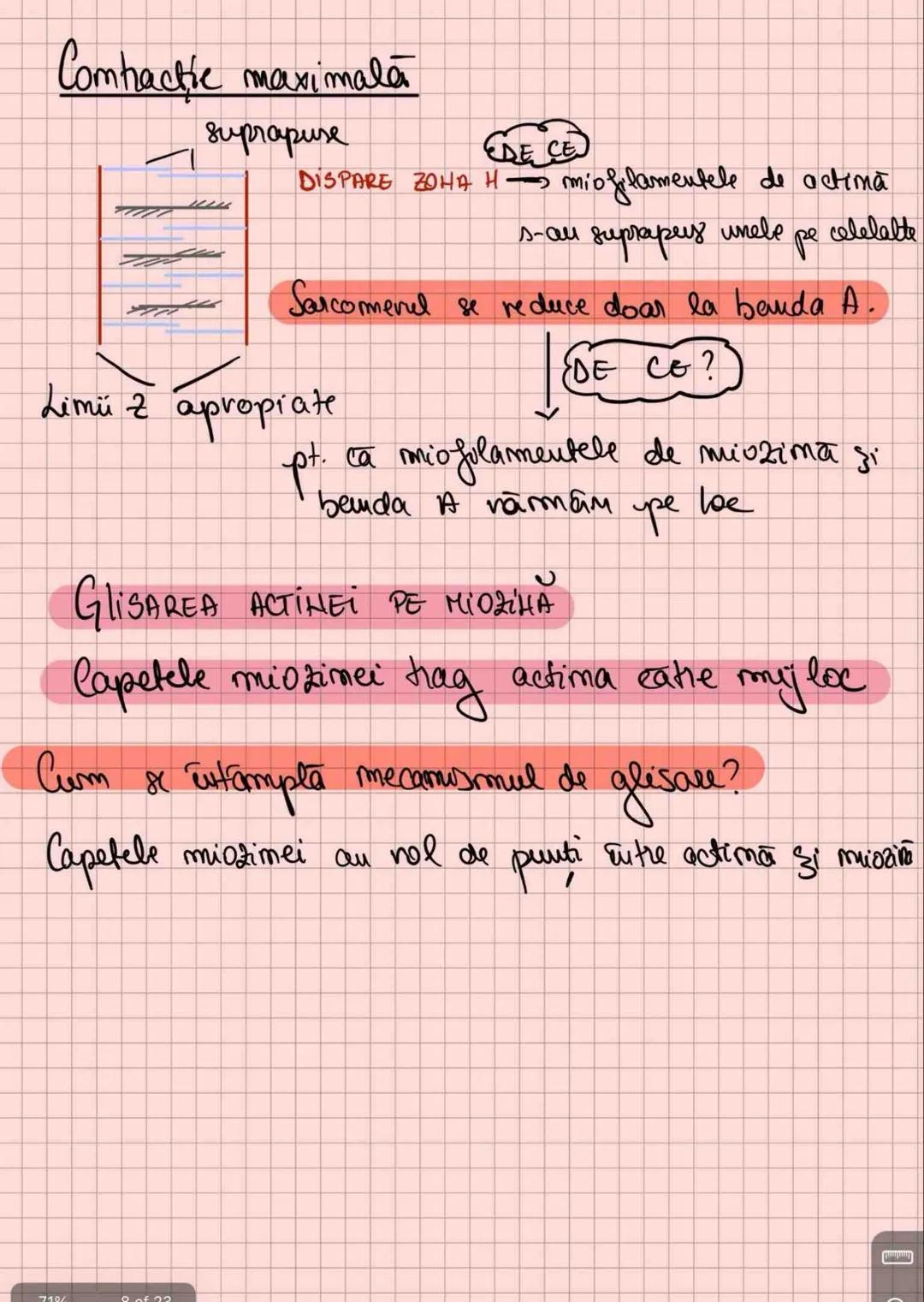 # Capitolul 8
# ȚESUTUL MUSCULAR
!!! Se distinge de restul țesuturilor - CONTRACTILITATE
Umitatea STRUCTURALĂ → fibra musculară /
→ celula m