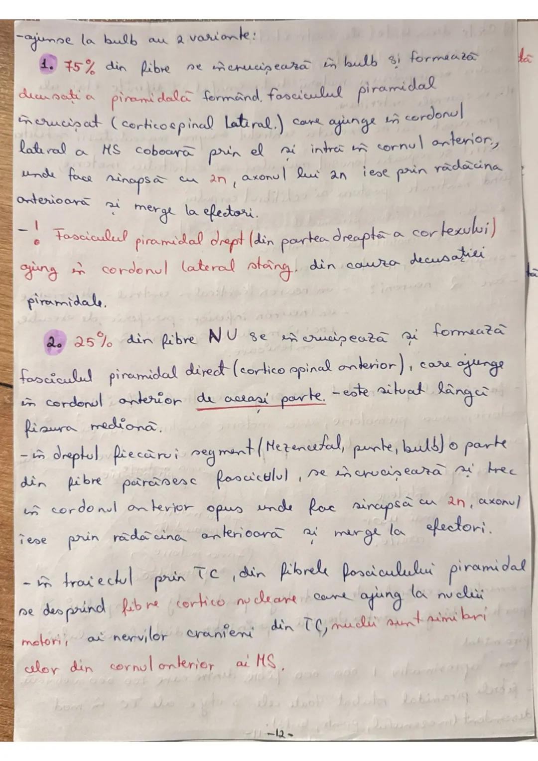 --- OCR Start ---
Madura Spinarii (MS) (+1 (7
LOC: - in canalul vertebral, format din suprapunerea orficior
vertebrale in Hal
ocupă în între
