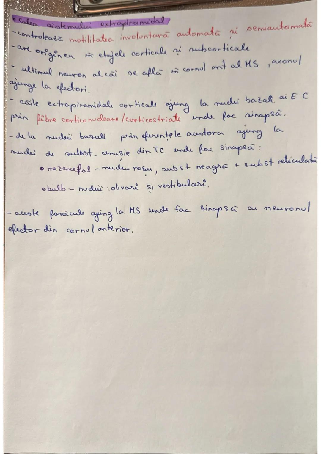 --- OCR Start ---
Madura Spinarii (MS) (+1 (7
LOC: - in canalul vertebral, format din suprapunerea orficior
vertebrale in Hal
ocupă în între