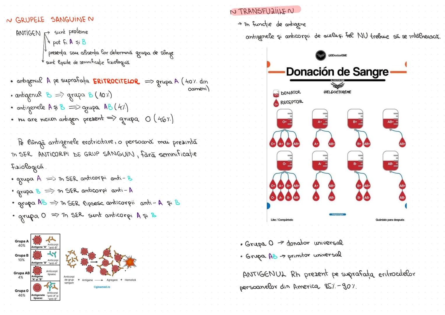 # N GRUPELE SANGUINE N
ANTIGEN → sunt proteine
pot fi A, si B
prezenta sau absenta lor determina grupa de sange
sunt lipsite de semnific