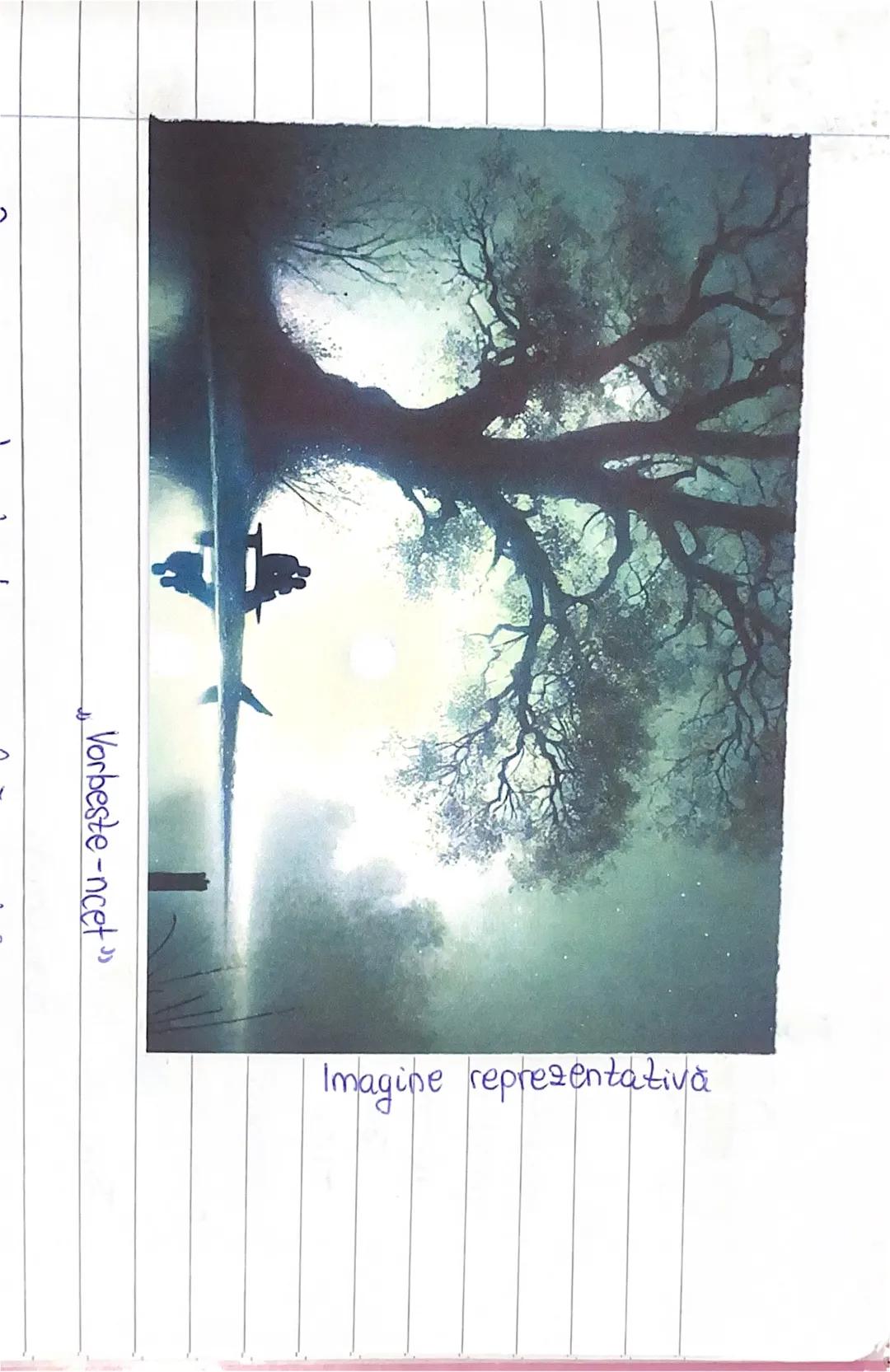 # Vanbeste-ncet
Imagine representativa