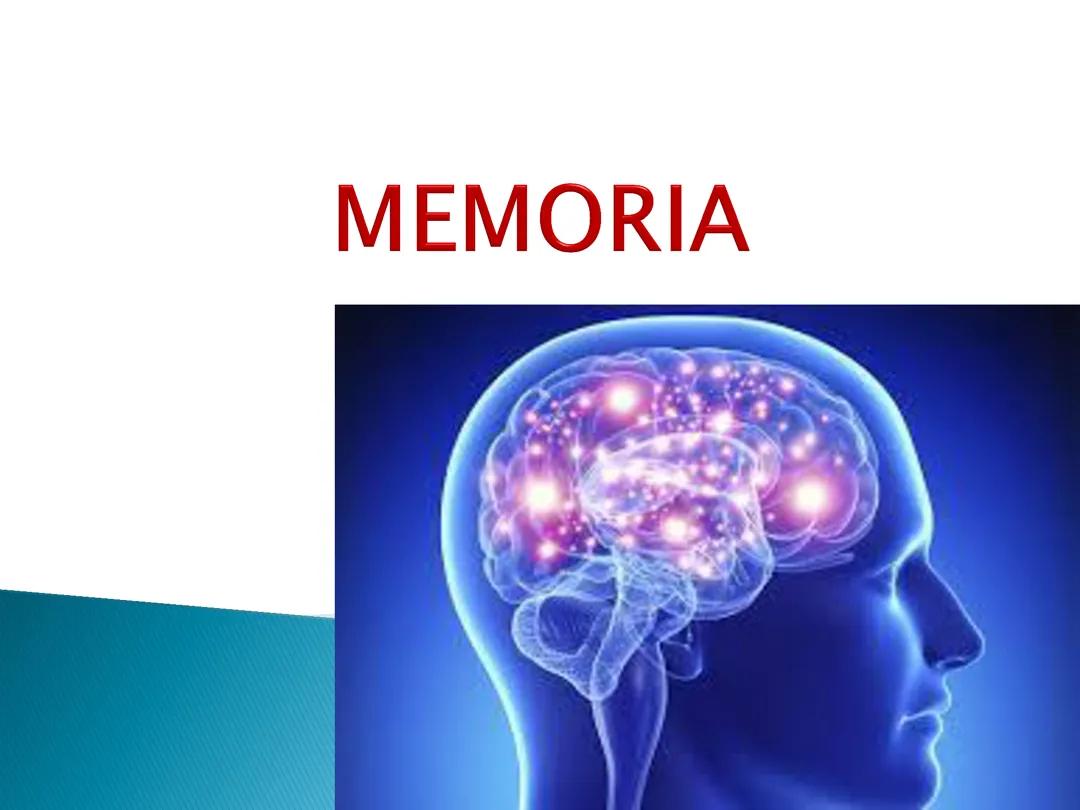 Memoria
