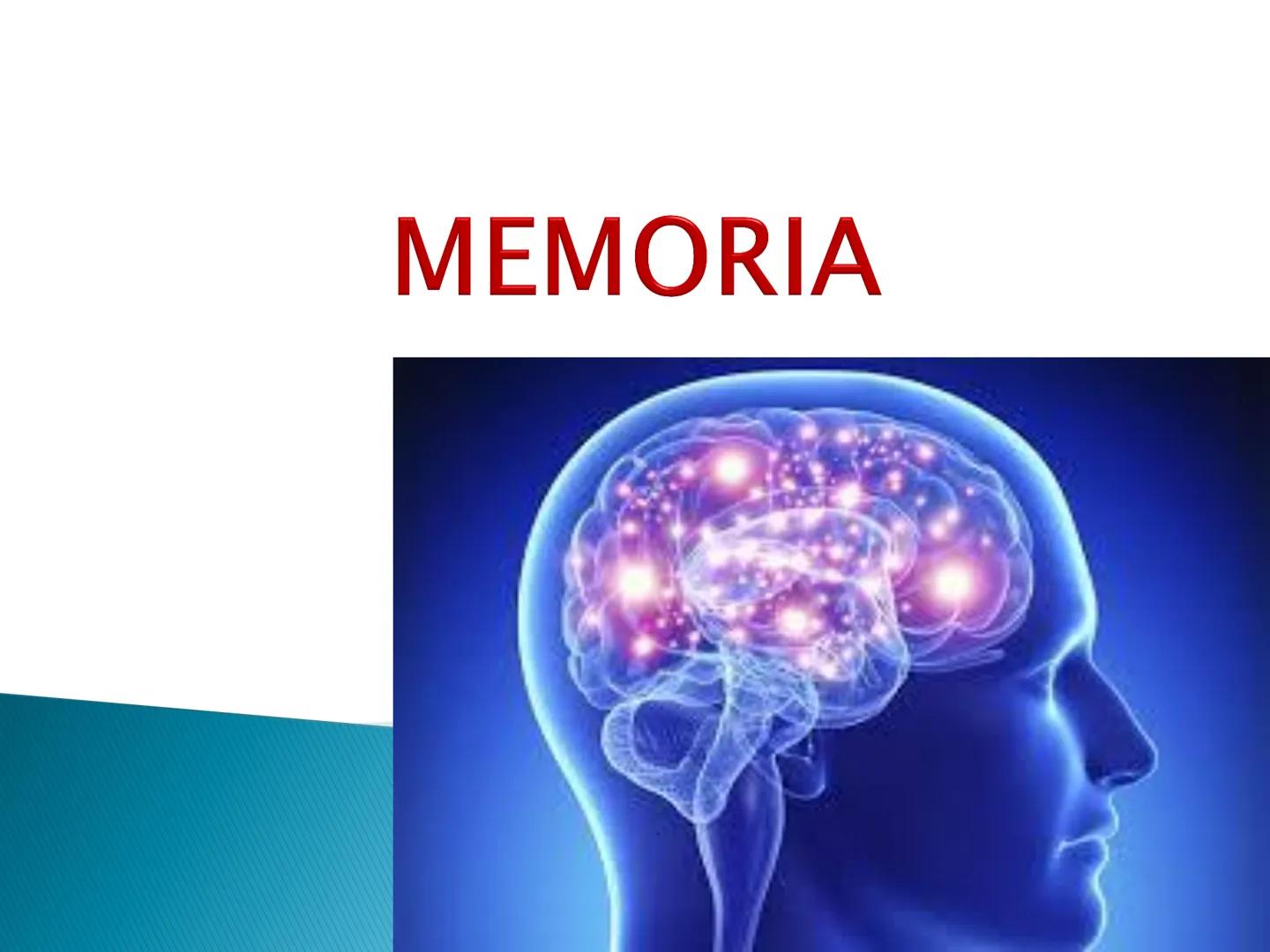 # MEMORIA ► I. Definitie
► II. Caracterizare generala
► III. Caracterizare specifica
► IV. Procesele memoriei
► V. Factorii, legile si optim