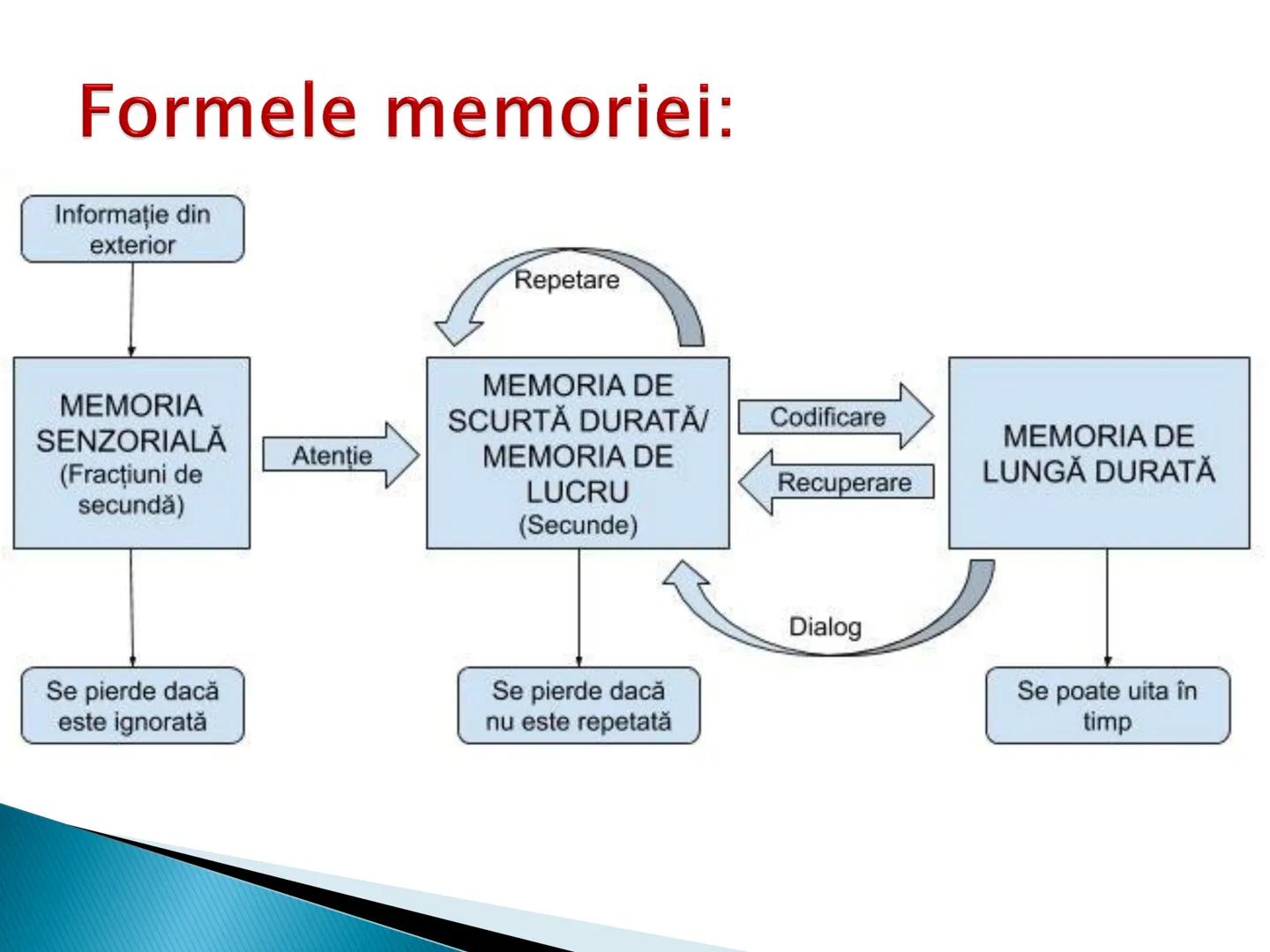 # MEMORIA ► I. Definitie
► II. Caracterizare generala
► III. Caracterizare specifica
► IV. Procesele memoriei
► V. Factorii, legile si optim
