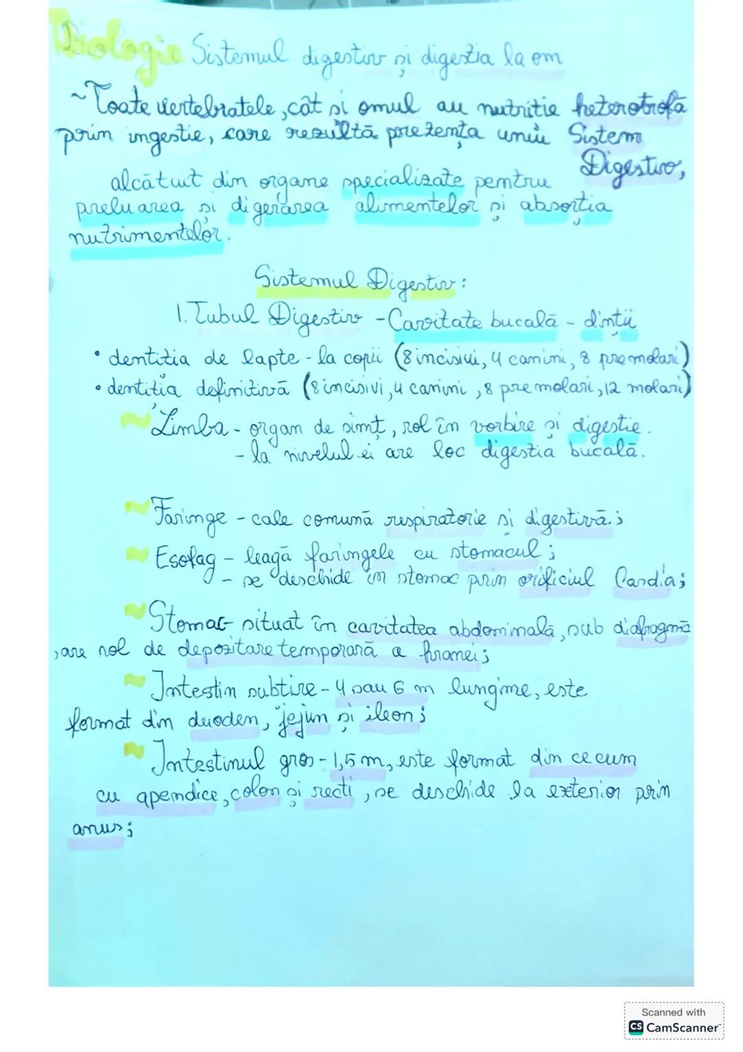Sistemul Digestiv și Digestia la om