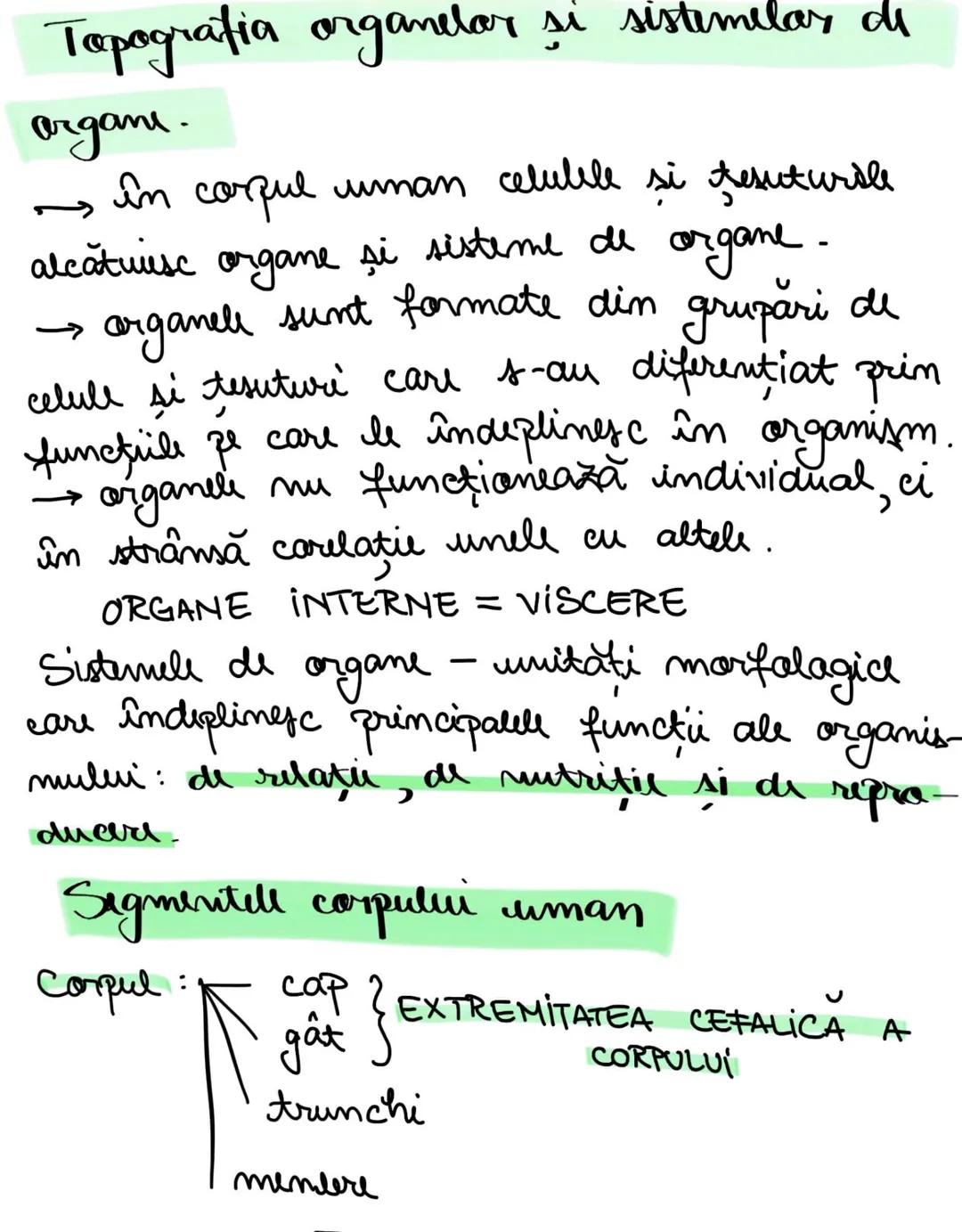 # Topografia organelor si sistemelas de
organe.
→ În corpul uman celulele și tesuturile
alcătuiesc organe si sisteme de organe -
→ arganele