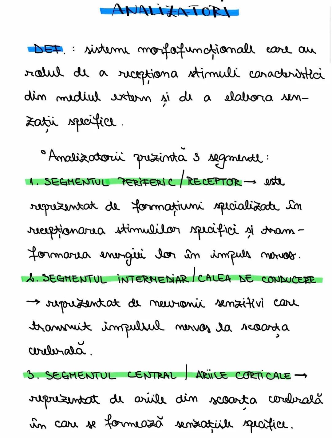 Analizatori-analizatorul cutanat și vizual