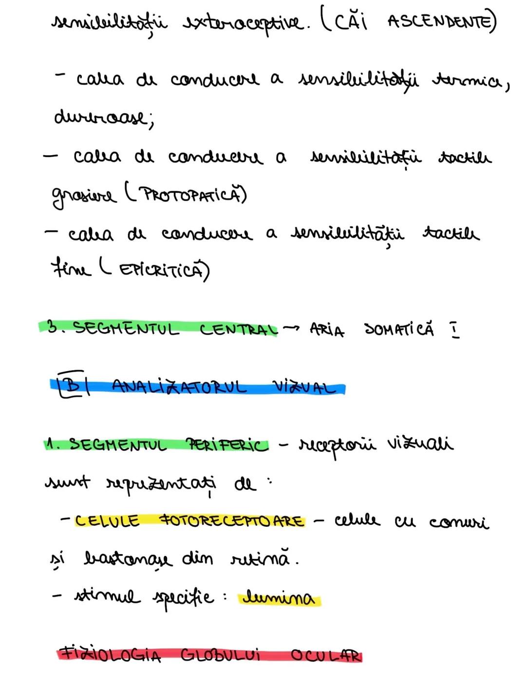 --- OCR Start ---
ANALIZATORI
DEF.: sisteme morfafunctionall care au
rolul de a receptiona stimuli caracteristici
elabora sen-
din mediul ex