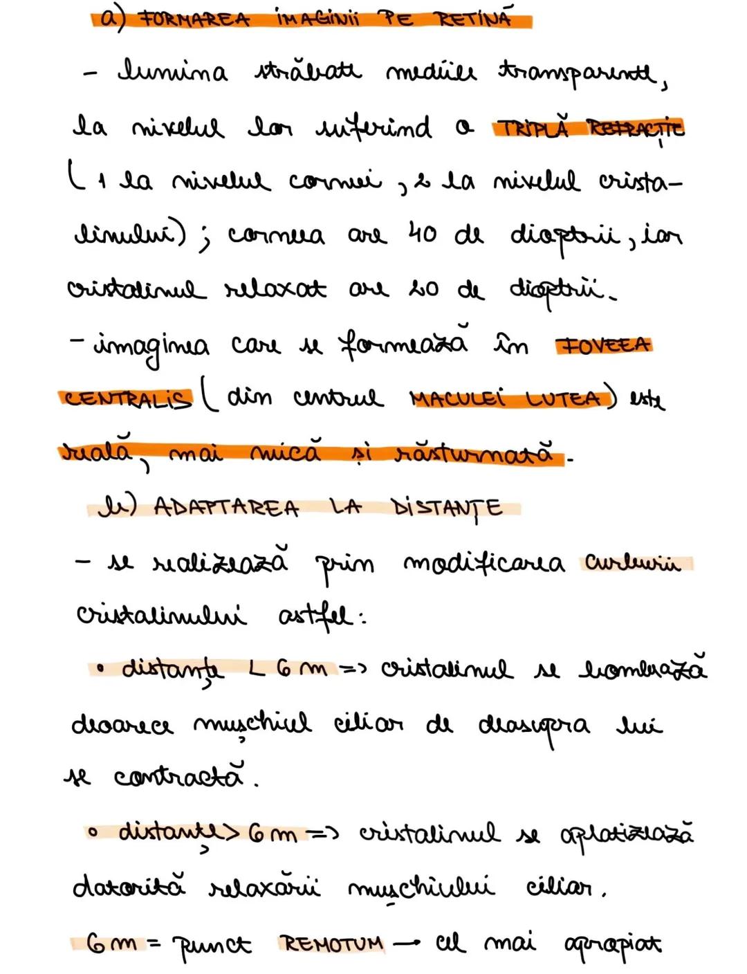 --- OCR Start ---
ANALIZATORI
DEF.: sisteme morfafunctionall care au
rolul de a receptiona stimuli caracteristici
elabora sen-
din mediul ex