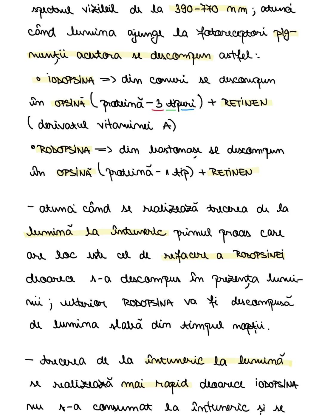 --- OCR Start ---
ANALIZATORI
DEF.: sisteme morfafunctionall care au
rolul de a receptiona stimuli caracteristici
elabora sen-
din mediul ex