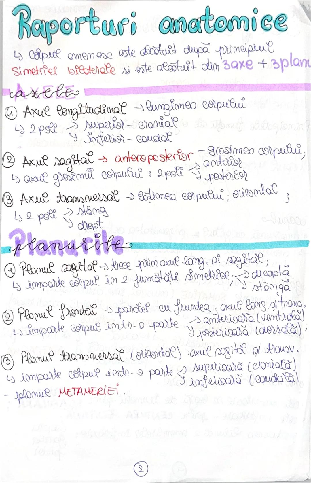 # Corpul uman
15 ianuarie 2025
In corpul omenesc, celulele si tesuturile constituie
organe si sisteme de organe;
organe interne = VISCERE;
P