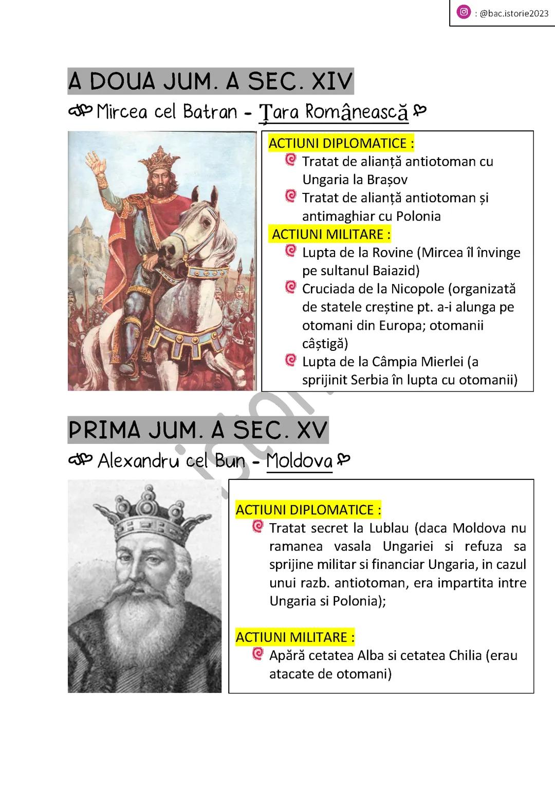 Domnitorii tratate si conflicte